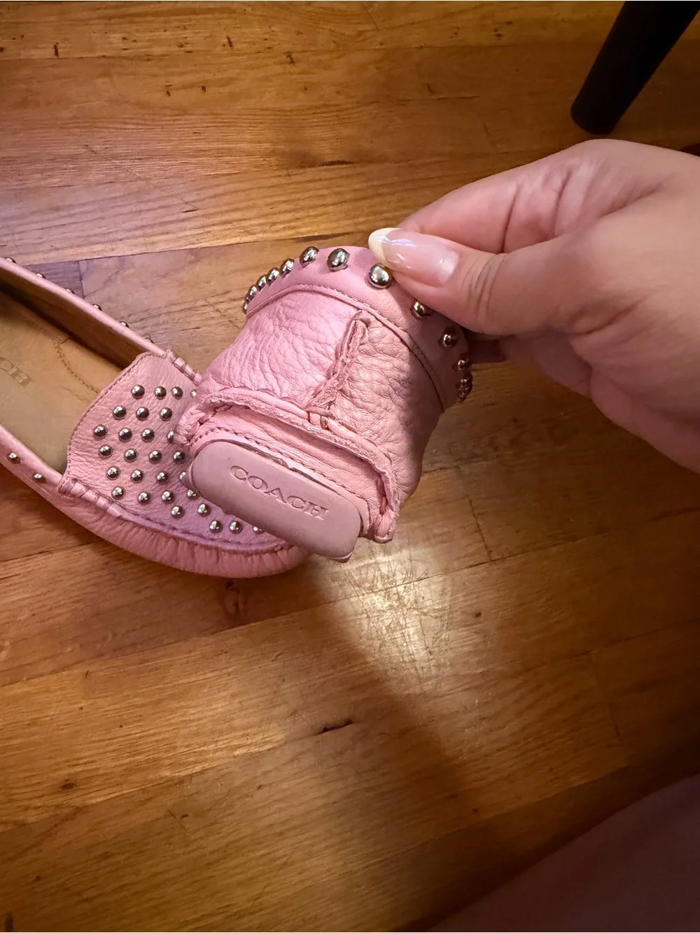 Coach arlene studded